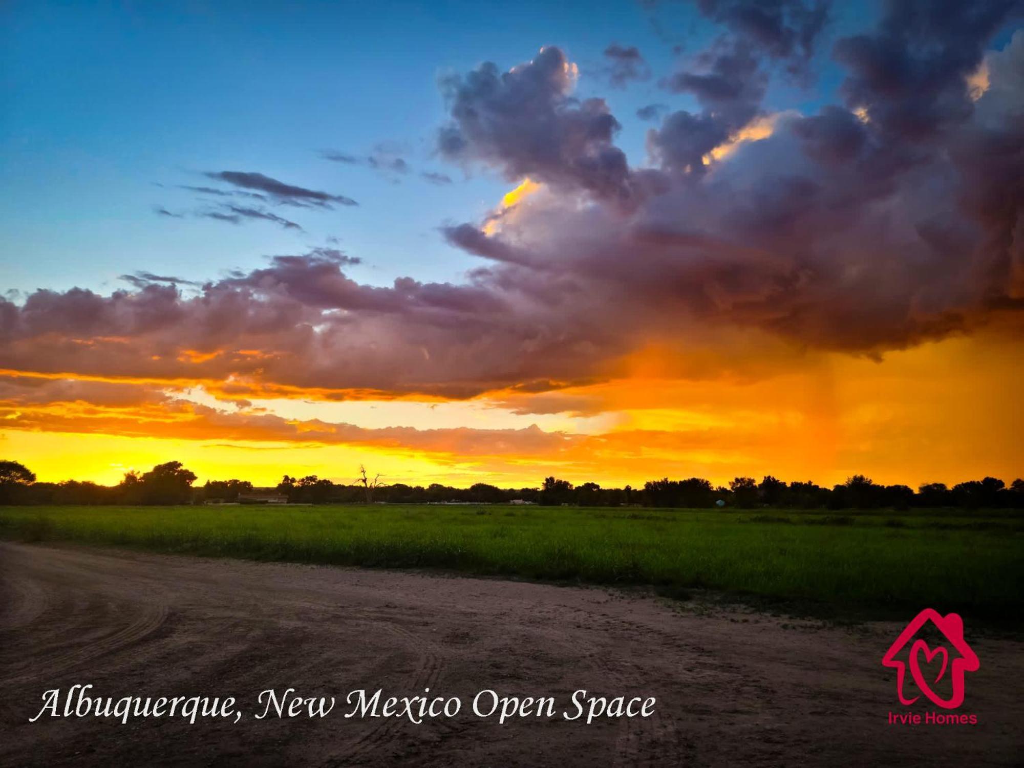 Chapala Charm 6Br Family Oasis - An Irvie Home Albuquerque Exteriér fotografie